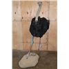 Image 2 : Life-sized SOUTHERN OSTRICH or SOUTH AFRICAN OSTRICH on a Natural Stationary Base