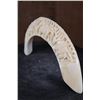 Image 5 : Hand-carved HIPPOPOTAMUS Tusk Featuring 2 Elephants and Trees