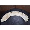 Image 7 : Hand-carved HIPPOPOTAMUS Tusk Featuring 2 Elephants and Trees