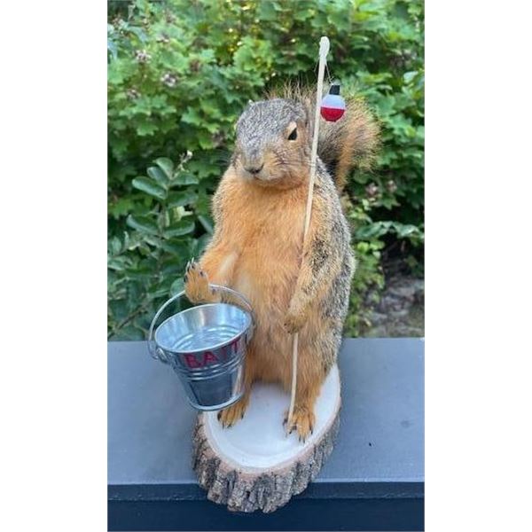*New* Life-sized "Fishing" SQUIRREL with his Rod, Reel, and Bait Bucket on a little Wood Slice Base
