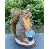 Image 2 : *New* Life-sized "Fishing" SQUIRREL with his Rod, Reel, and Bait Bucket on a little Wood Slice Base