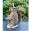 Image 3 : *New* Life-sized "Fishing" SQUIRREL with his Rod, Reel, and Bait Bucket on a little Wood Slice Base