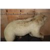Image 12 : *Sam Snead Collection* Life-sized KODIAK BEAR on a Wood Base with Wheels