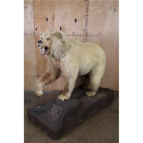 *Sam Snead Collection* Life-sized KODIAK BEAR on a Wood Base with Wheels