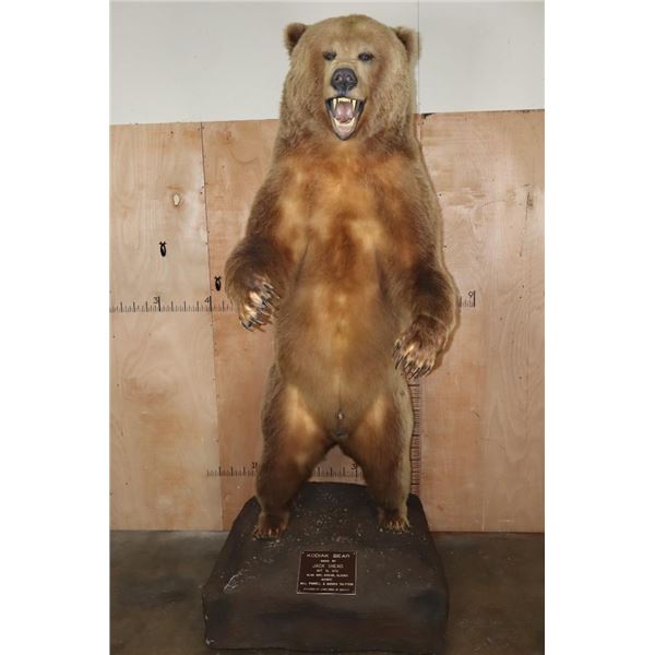 XXL Life-sized Standing KODIAK BEAR "Taken" by Jack Snead 1972 and Mounted by the Jonas Brothers