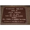 Image 2 : XXL Life-sized Standing KODIAK BEAR "Taken" by Jack Snead 1972 and Mounted by the Jonas Brothers