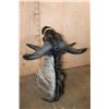 Image 7 : NYASALAND WILDEBEEST Shoulder Mount