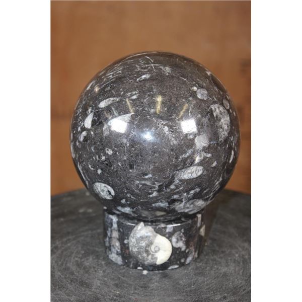 XL ORTHOCERAS Fossil Sphere Specimen with an Orthoceras Fossil Stand