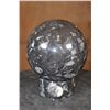 Image 1 : XL ORTHOCERAS Fossil Sphere Specimen with an Orthoceras Fossil Stand