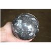 Image 2 : XL ORTHOCERAS Fossil Sphere Specimen with an Orthoceras Fossil Stand