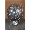 Image 4 : XL ORTHOCERAS Fossil Sphere Specimen with an Orthoceras Fossil Stand