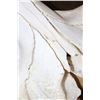 Image 9 : XL HIPPOPOTAMUS Skull and Jaw with Ivory Tusks