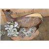 Image 7 : Life-sized YELLOW-BACKED DUIKER on a Decorative Base