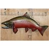 Image 1 : XL Reproduction Spawning Phase SALMON from the Sam Snead Collection