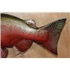 Image 5 : XL Reproduction Spawning Phase SALMON from the Sam Snead Collection