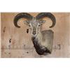 Image 1 : BLUE SHEEP Wall Pedestal Mount