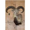 Image 2 : BLUE SHEEP Wall Pedestal Mount