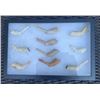 Image 2 : (10) Native American or Indian Clay Pipes in a Wood and Glass Display