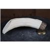 Image 5 : Scrimshawed HIPPOPOTAMUS Tusk or Tooth Featuring Elephants with a Brass Stand
