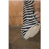 Image 7 : XL ZEBRA Shoulder Mount