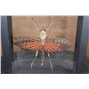Image 3 : *Brand New* GIANT GRASSHOPPER and FOUR-EYED STAG BEETLE Specimens in a Glass Display Frame