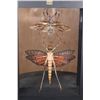 Image 4 : *Brand New* GIANT GRASSHOPPER and FOUR-EYED STAG BEETLE Specimens in a Glass Display Frame
