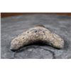Image 4 : Big Polished MEGALODON Tooth Fossil Specimen