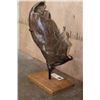 Image 10 : Fossilized MAMMOTH Jaw Specimen with a Huge Tooth on a Custom Stand