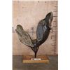 Image 1 : Fossilized MAMMOTH Jaw Specimen with a Huge Tooth on a Custom Stand