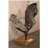 Image 4 : Fossilized MAMMOTH Jaw Specimen with a Huge Tooth on a Custom Stand