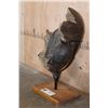 Image 5 : Fossilized MAMMOTH Jaw Specimen with a Huge Tooth on a Custom Stand