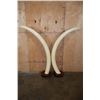 Image 10 : *TEXAS RESIDENTS ONLY* Massive Set of ELEPHANT IVORY TUSKS on Wood Bases