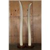 Image 14 : *TEXAS RESIDENTS ONLY* Massive Set of ELEPHANT IVORY TUSKS on Wood Bases