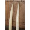 Image 14 : *TEXAS RESIDENTS ONLY* Set of ELEPHANT IVORY Tusks on Wood Bases