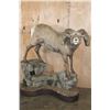 Image 1 : 195 2/8 B& C Scored ROCKY MOUNTAIN BIGHORN Sheep Ram, 4th Largest Grand Slam on a Base with Wheels