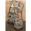 Image 3 : 195 2/8 B& C Scored ROCKY MOUNTAIN BIGHORN Sheep Ram, 4th Largest Grand Slam on a Base with Wheels