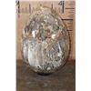 Image 10 : Absolutely Massive XXXL Polished PETRIFIED WOOD Egg with Druzy Inclusions on a Black Ring Stand
