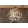 Image 13 : Absolutely Massive XXXL Polished PETRIFIED WOOD Egg with Druzy Inclusions on a Black Ring Stand