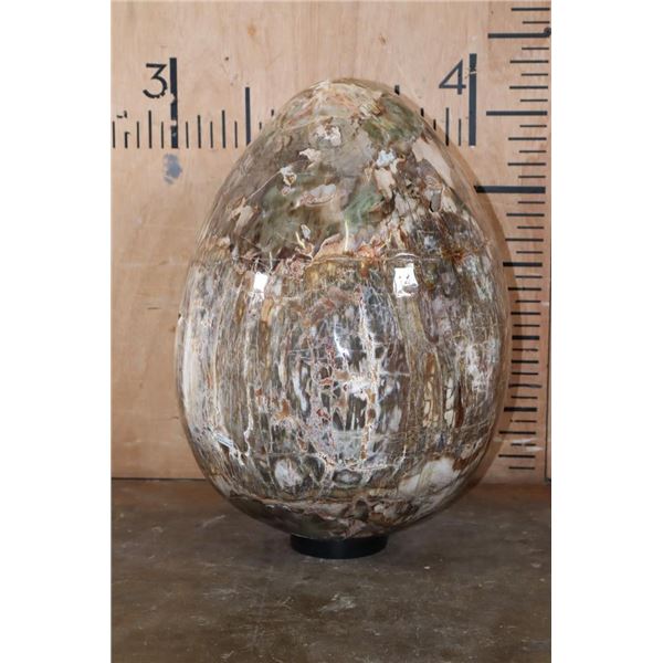 Absolutely Massive XXXL Polished PETRIFIED WOOD Egg with Druzy Inclusions on a Black Ring Stand