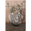 Image 1 : Absolutely Massive XXXL Polished PETRIFIED WOOD Egg with Druzy Inclusions on a Black Ring Stand