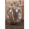 Image 5 : Absolutely Massive XXXL Polished PETRIFIED WOOD Egg with Druzy Inclusions on a Black Ring Stand