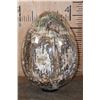 Image 7 : Absolutely Massive XXXL Polished PETRIFIED WOOD Egg with Druzy Inclusions on a Black Ring Stand