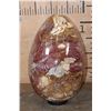 Image 11 : Massive XXXL Polished PETRIFIED WOOD Egg with Druzy Inclusions