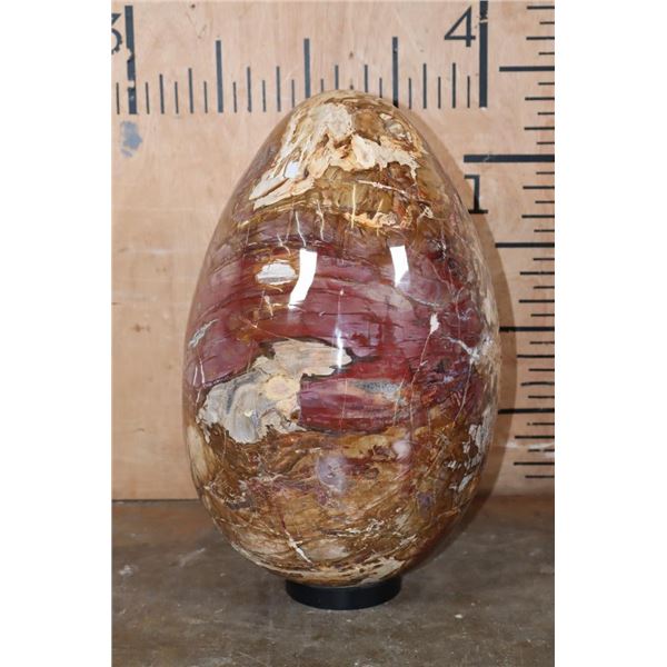 Massive XXXL Polished PETRIFIED WOOD Egg with Druzy Inclusions