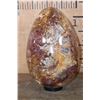 Image 3 : Massive XXXL Polished PETRIFIED WOOD Egg with Druzy Inclusions