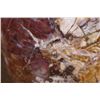 Image 4 : Massive XXXL Polished PETRIFIED WOOD Egg with Druzy Inclusions
