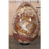 Image 5 : Massive XXXL Polished PETRIFIED WOOD Egg with Druzy Inclusions