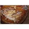 Image 6 : Massive XXXL Polished PETRIFIED WOOD Egg with Druzy Inclusions