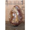 Image 7 : Massive XXXL Polished PETRIFIED WOOD Egg with Druzy Inclusions