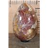 Image 9 : Massive XXXL Polished PETRIFIED WOOD Egg with Druzy Inclusions